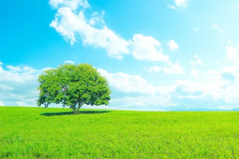 年末年始の休業に関しまして